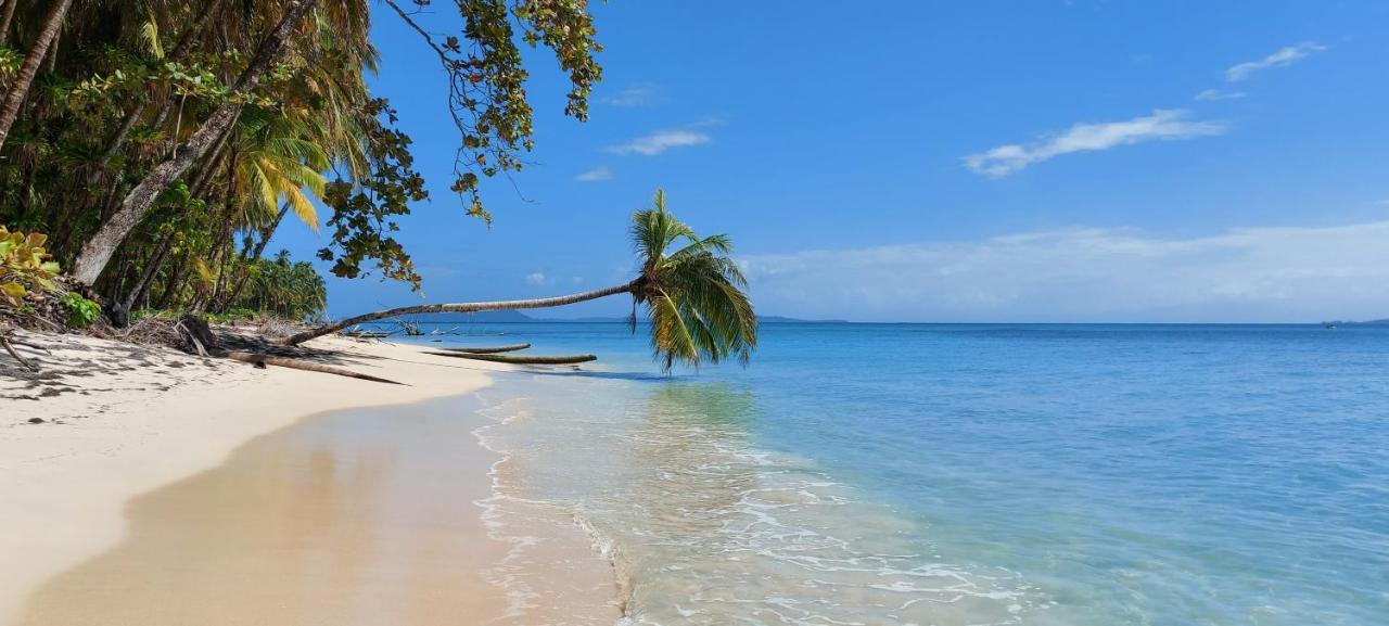 The Sunsetter Bed & Breakfast Bocas del Toro Exterior photo